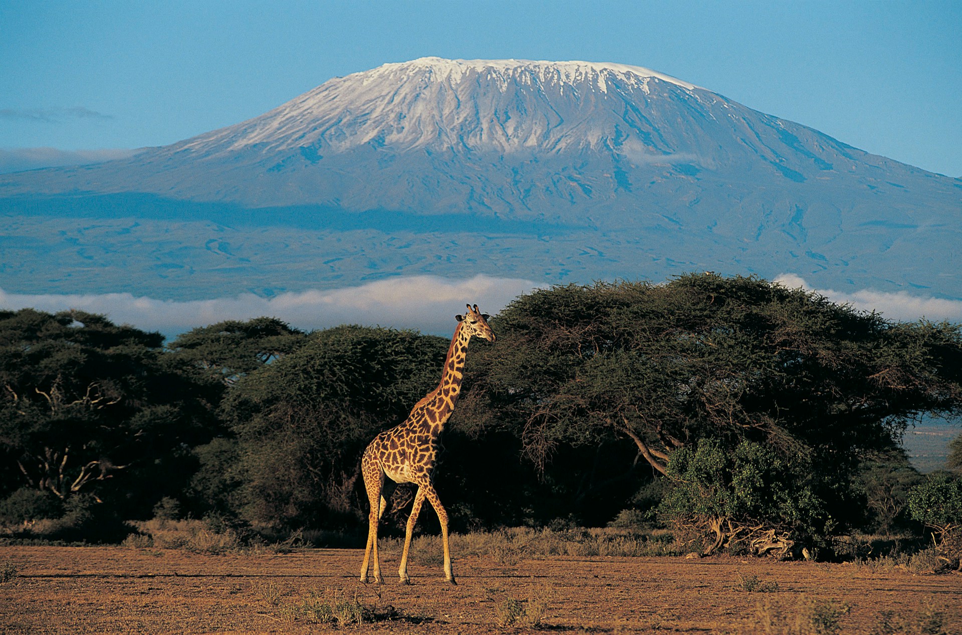 Mount Kilimanjaro
