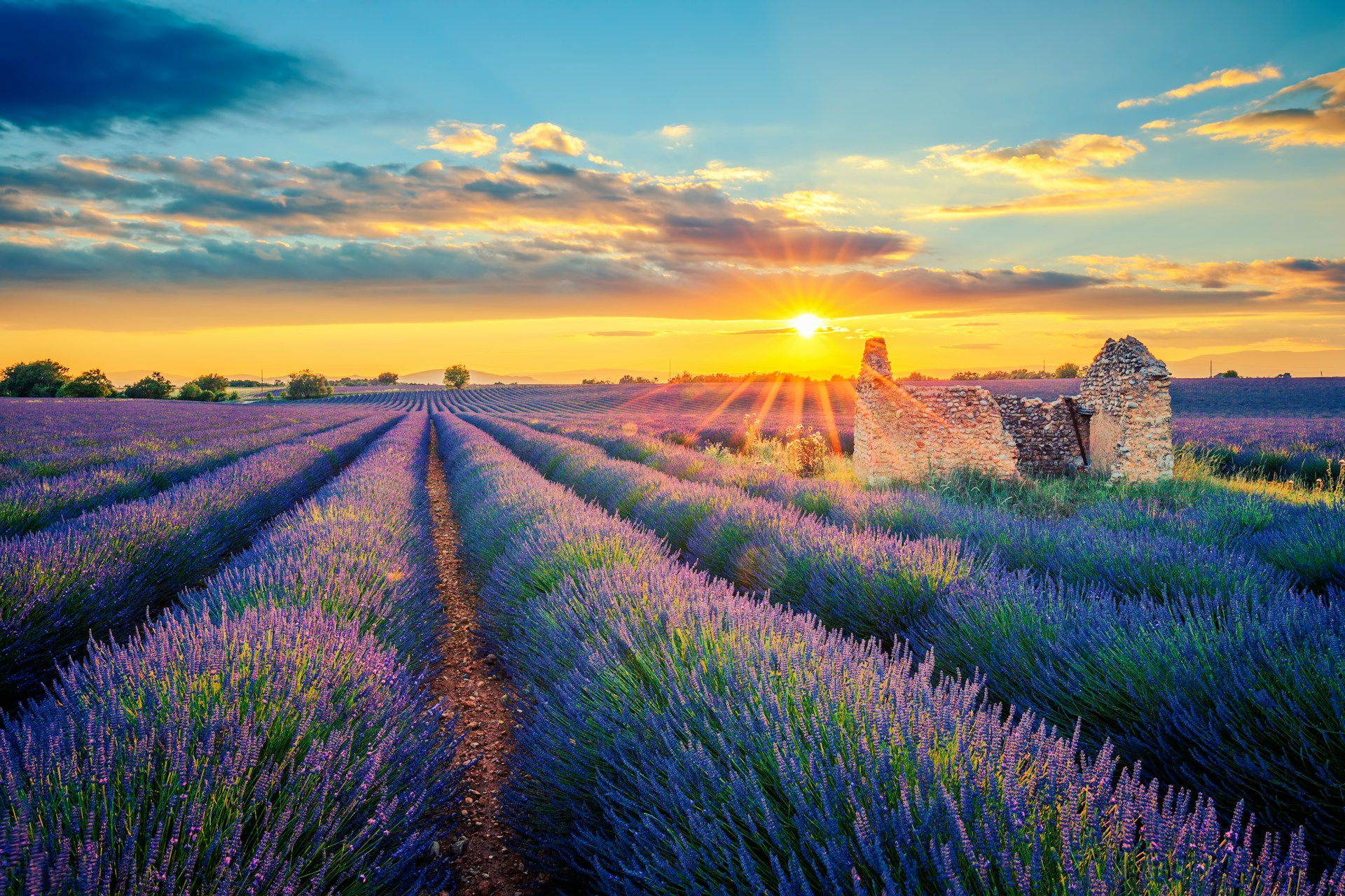 Provence
