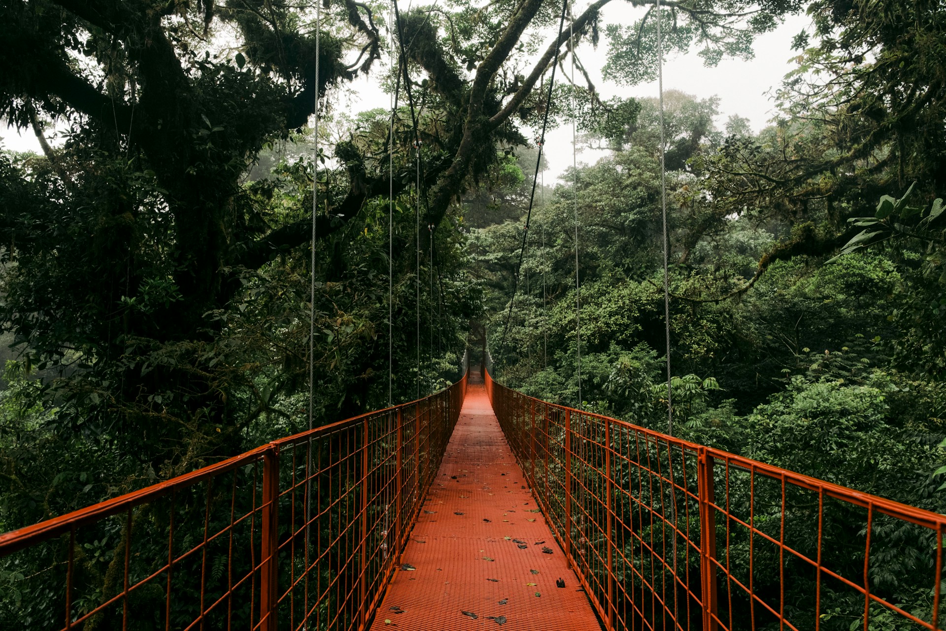 Monteverde