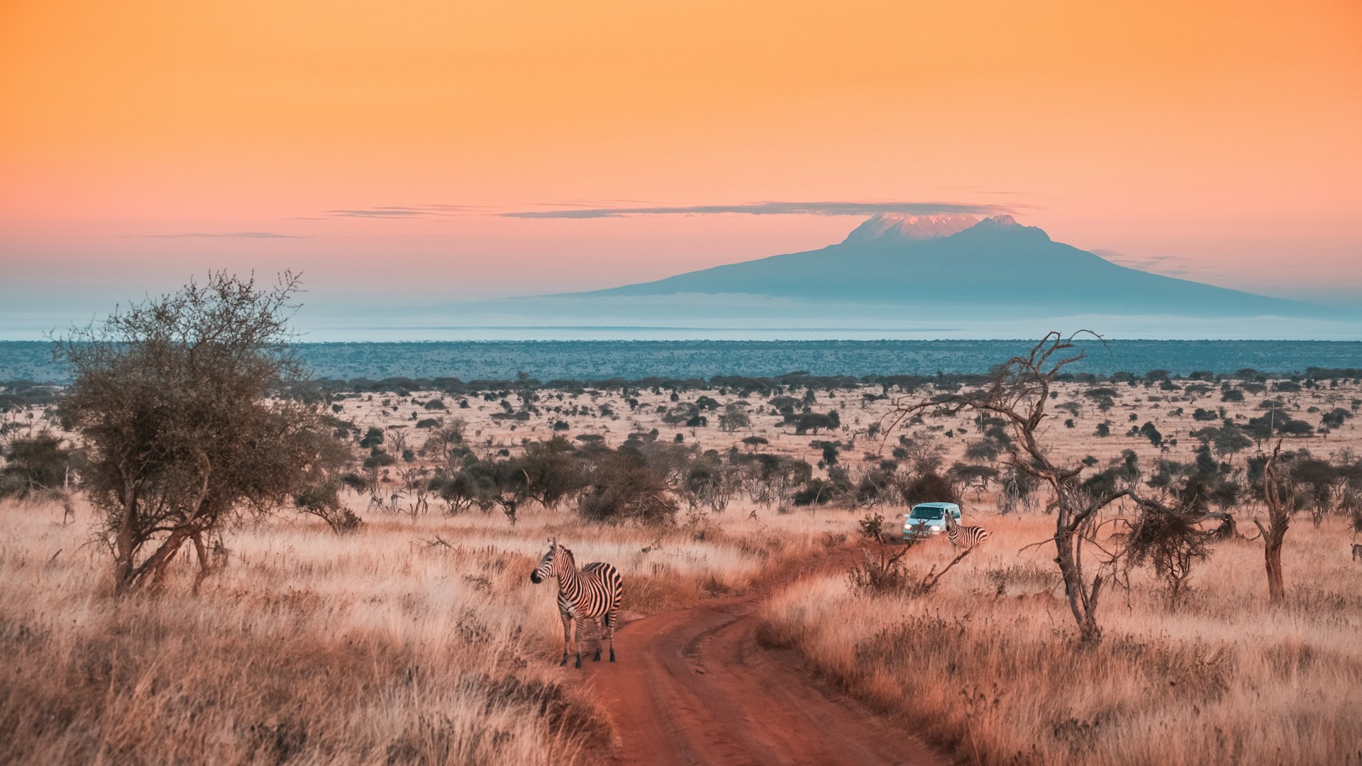 Africa