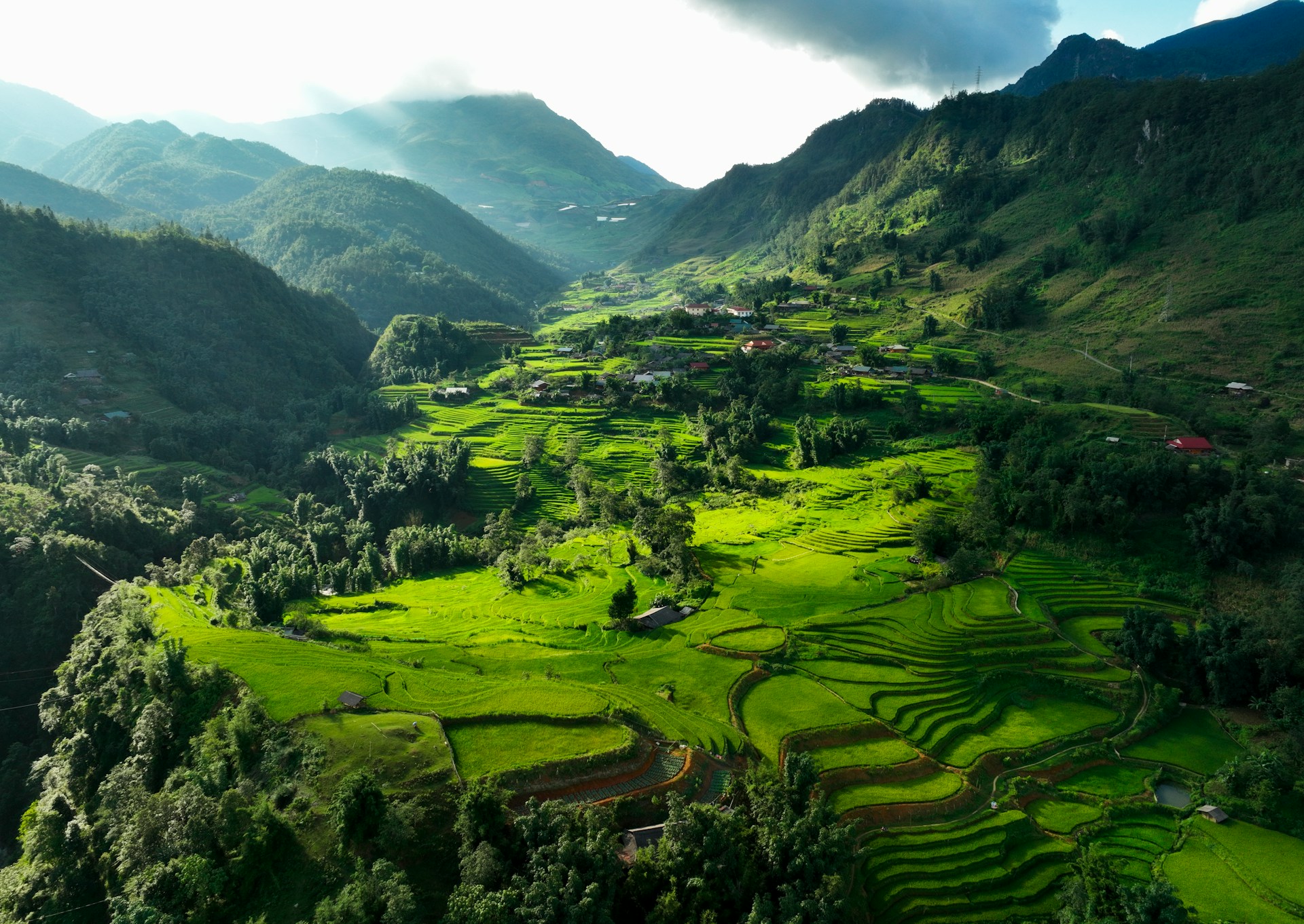Sapa