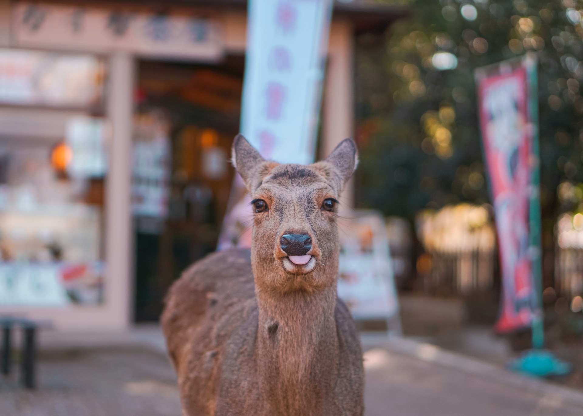 Nara