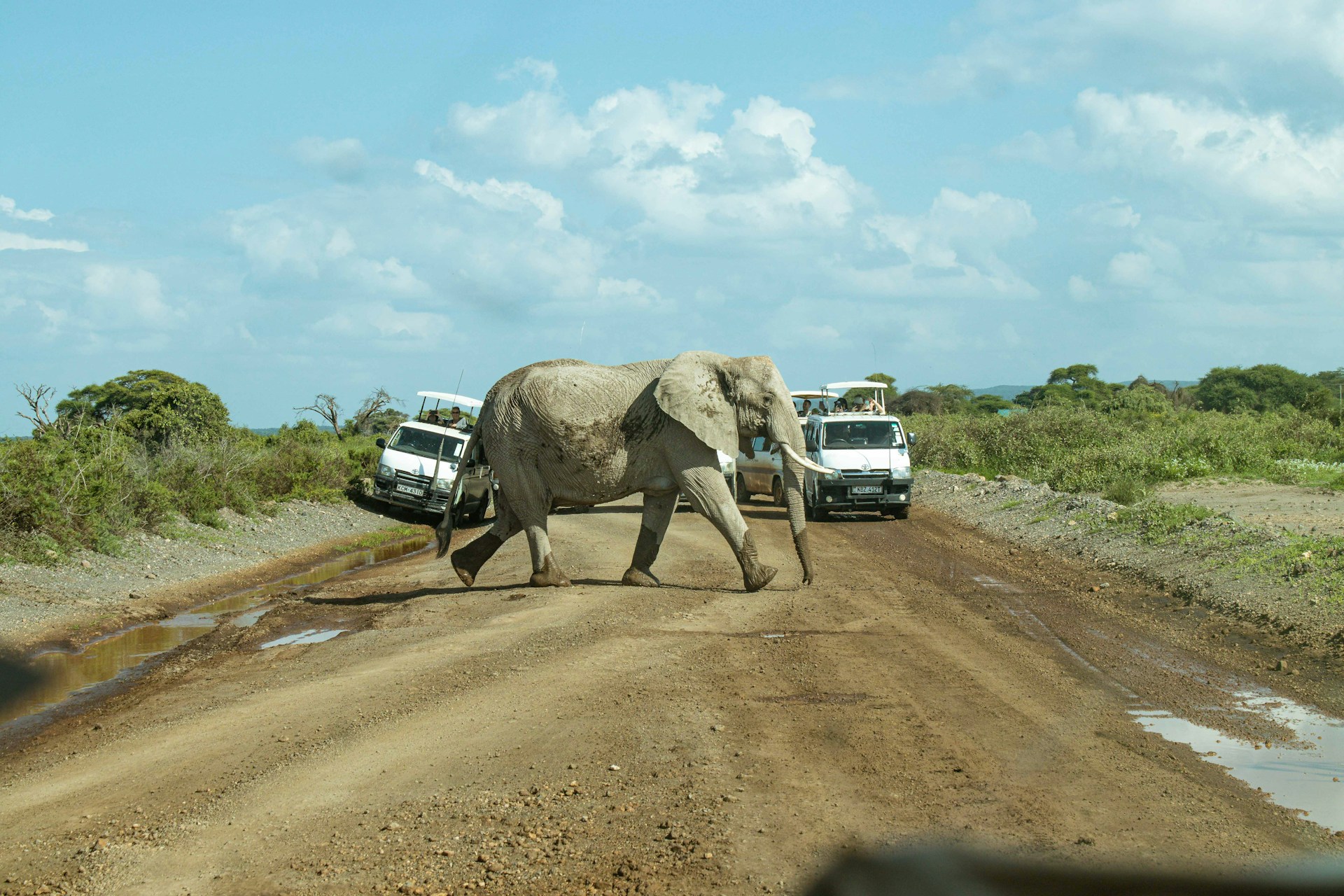 Amboseli National Park, Kenya